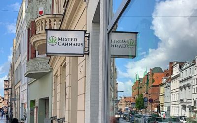 Neueröffnung – Mister-Cannabis